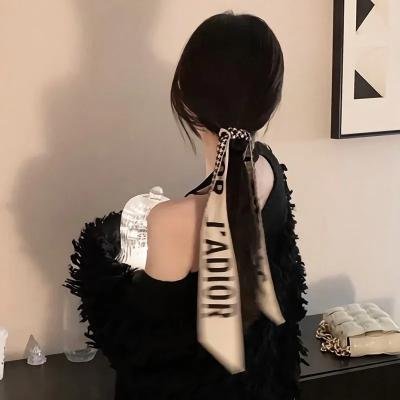 金刚斗恐龙封面