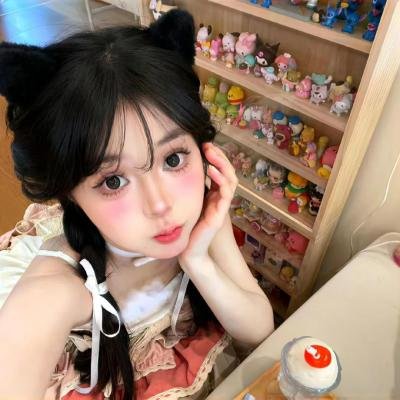 田凫封面