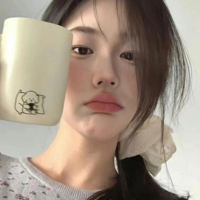 姐姐的情人粤语封面