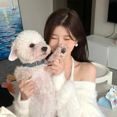 纯情罗曼史第一季封面